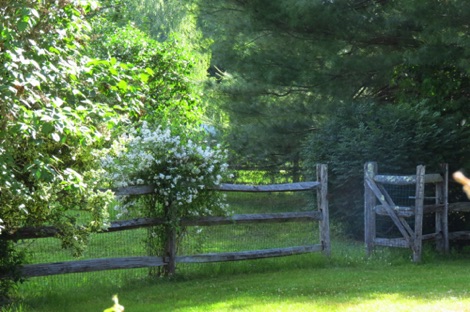 hollis-nh-wood-fence.JPG